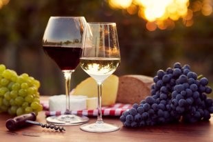 vino i vinograd